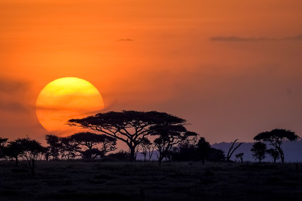 Nuit de safari au Serengeti Camp